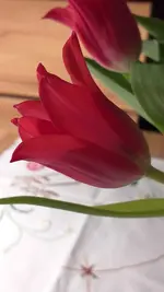 20220409_201306.webp