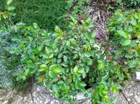 IMG_20220331_103320_1.webp