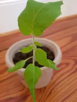 20220410_090901.webp