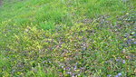 WP_20220409_17_36_47_Pro.JPG