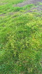 WP_20220409_17_36_57_Pro.JPG