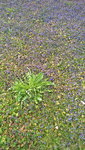 WP_20220409_17_37_09_Pro.JPG