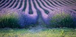 Adlstrass 0320.JPG