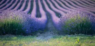 Adlstrass 0320.webp