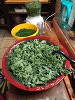 IMG_20220410_164936.webp