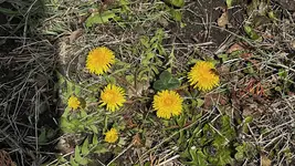 73274E54-69CD-4CBB-B02E-523A9CCBDA68.jpeg