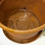 Kübel-Dränage_01.jpg