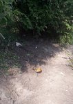 20220411_125028.jpg