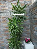 20220413_064459.webp