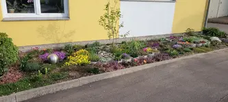 20220413_081211.webp