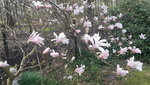 20220412_112400.jpg