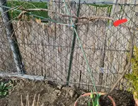 20220413_185324.webp 20220413_185324.webp