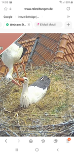 Screenshot_20220413-140301_Samsung Internet.webp