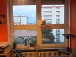 IMG_1960.JPG