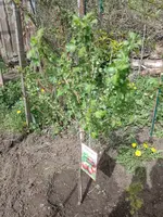 IMG_20220413_153609.jpg