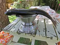 Kia ora.webp