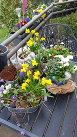 20220413_175307.webp