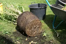 Umtopfen0622.webp