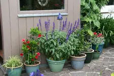 Terasse     1021.webp