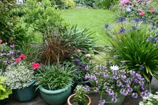 Terasse     1921.webp