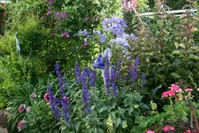 Terasse     2821.webp