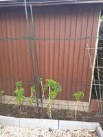 20220415_082408.webp