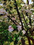 IMG_20220415_100017_2~3.jpg