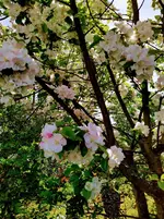 IMG_20220415_100017_2~3.jpg