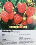 Himbeere-Herbst ´Himbo-Top’ Mai > July 1-jährig_01.jpg