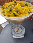 IMG_20220415_113813.jpg