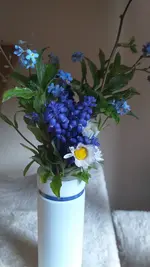 20220415_190517.webp