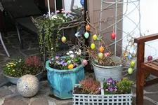 Terasse      0122.webp