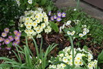 Frühling     1922.JPG