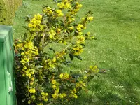 DSC02341.JPG