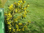 DSC02341.JPG