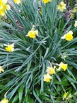 IMG_20220415_143713.jpg