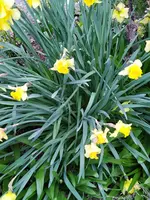 IMG_20220415_143713.webp