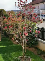 IMG_20220410_164959.jpg