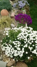 IMG_20190410_085842343.jpg
