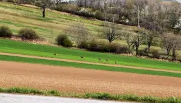 IMG_20220407_160732 (1).webp
