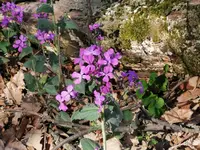 IMG_20220414_161930.webp