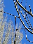 IMG_20220416_140802.jpg