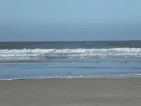 P1070241.webp