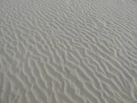 P1070259.webp