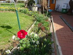 DSC02350.JPG