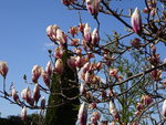 DSC02354.JPG