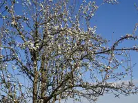 DSC02359.JPG