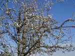 DSC02359.JPG