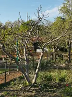 IMG_20220417_184210.webp