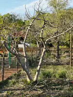 IMG_20220417_184145.webp